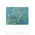 vincent van gogh s03 04